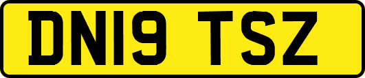 DN19TSZ