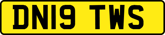 DN19TWS