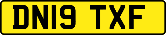 DN19TXF