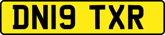 DN19TXR