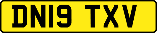DN19TXV
