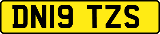 DN19TZS