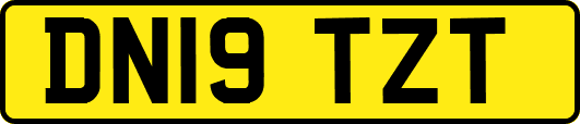 DN19TZT