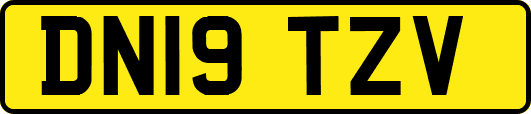 DN19TZV