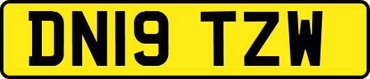 DN19TZW