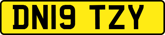 DN19TZY