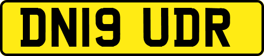 DN19UDR