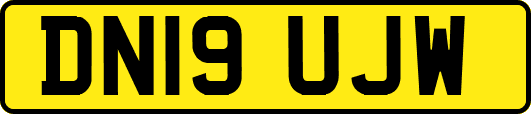 DN19UJW