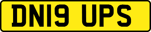 DN19UPS