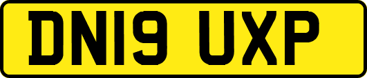 DN19UXP