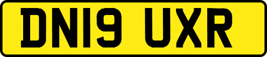 DN19UXR