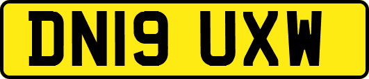 DN19UXW