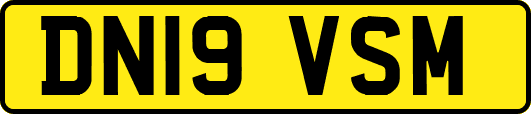 DN19VSM
