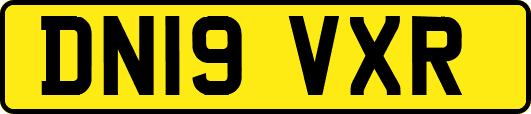 DN19VXR