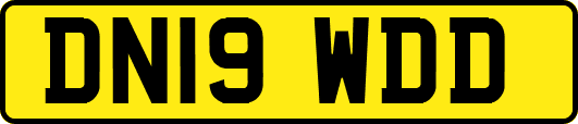 DN19WDD