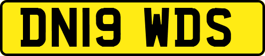 DN19WDS