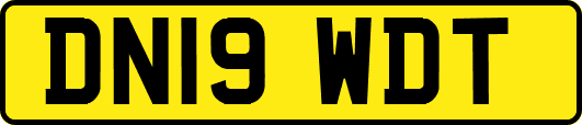 DN19WDT