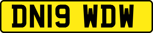 DN19WDW
