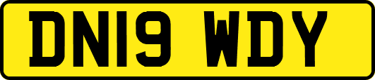 DN19WDY