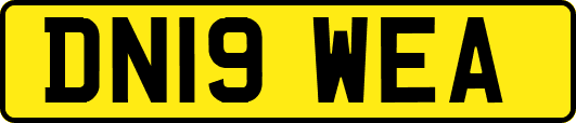 DN19WEA
