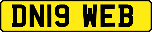 DN19WEB