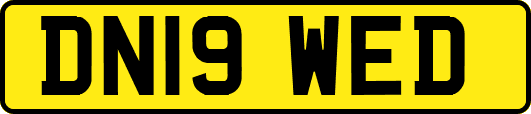 DN19WED