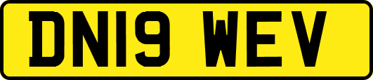 DN19WEV