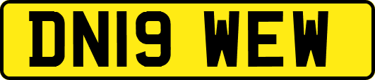 DN19WEW