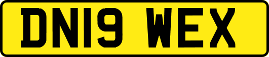 DN19WEX