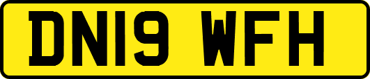 DN19WFH