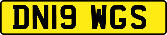 DN19WGS