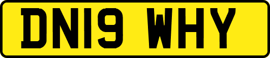 DN19WHY