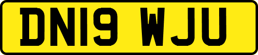 DN19WJU