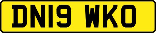 DN19WKO
