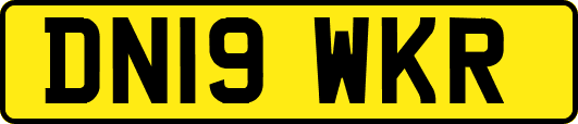 DN19WKR
