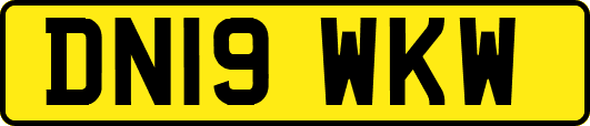 DN19WKW