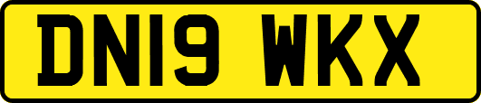 DN19WKX