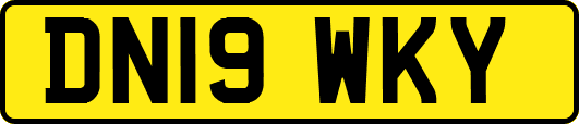 DN19WKY