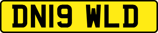 DN19WLD