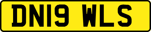 DN19WLS