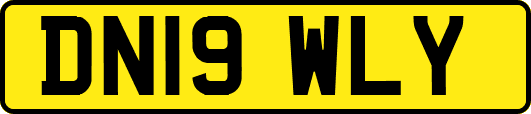 DN19WLY