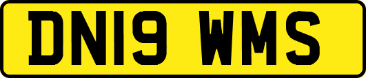 DN19WMS