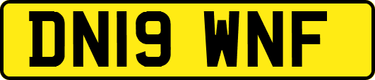 DN19WNF
