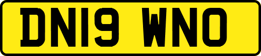 DN19WNO