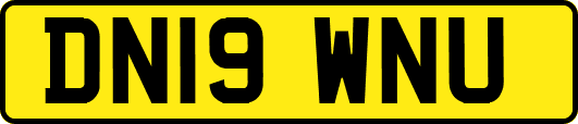DN19WNU