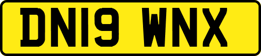 DN19WNX