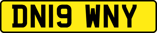 DN19WNY
