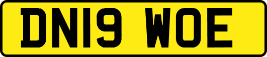 DN19WOE