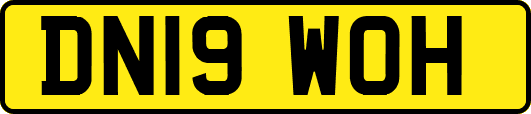 DN19WOH