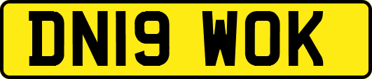 DN19WOK